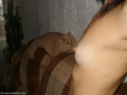 Фотосессия Домашка сучки с маленькой грудью
